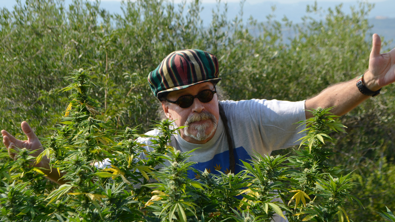 Pitura Freska - Marghera (Cannabis for Future Edit) (unofficial videoclip) Skardy 01 Ridimensionata E In Bassa X Miniatura Youtube